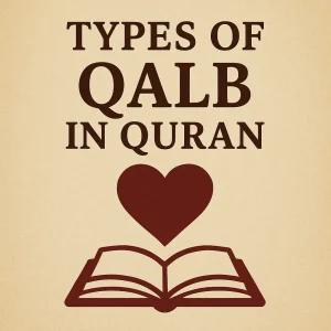 types of qalb in quran